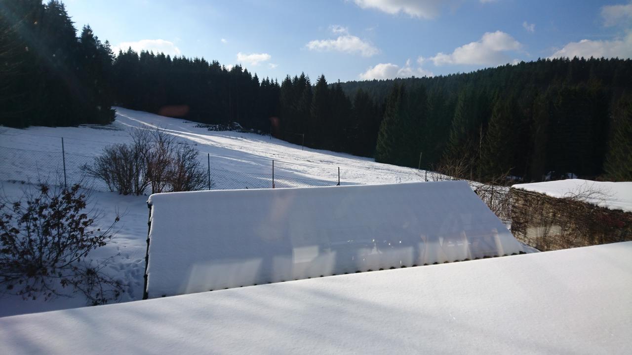 Quellenhof Altenau Altenau  Bagian luar foto